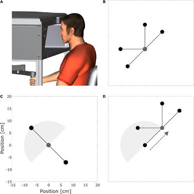 Random Practice Enhances Retention and Spatial Transfer in Force Field Adaptation